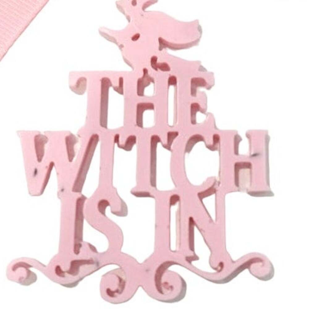 Pink "The Witch Is In" 3" Charm Dangle clip on